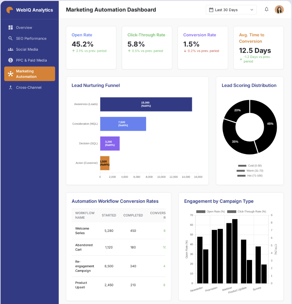 Marketing Automation Service - WebIQ Analytics